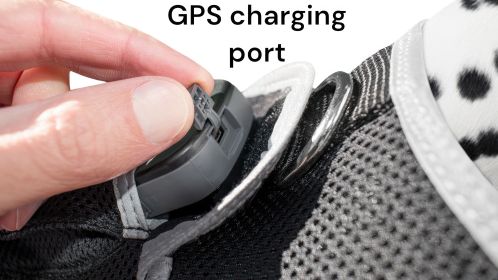 Portable Mini Pet Tracker Waterproof GSM GPS Realtime Dog/Cat Tracking Size:M