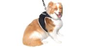 Mini Waterproof GPS Tracker for Dog Collar w/ Perimeter Fencing System Size:S