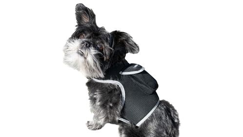 Mini Waterproof GPS Tracker for Dog Collar w/ Perimeter Fencing System Size:M