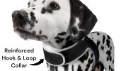 Mini Waterproof GPS Tracker for Dog Collar w/ Perimeter Fencing System Size:S