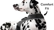 Pet Tracker Pocket GPS Dog Tracking Systems for Pet Security Surveillance Size:XL