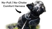 Get Realtime SMS/Live Tracking Data w/ Pet Tracker GPS Dog Collar Tracker Size:XXL