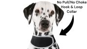 Get Realtime Pet Locations w/ Pet Tracker Mini Cat Dog GPS Tracking Collar Size:XL