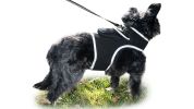 Portable Mini Pet Tracker Waterproof GSM GPS Realtime Dog/Cat Tracking Size:M